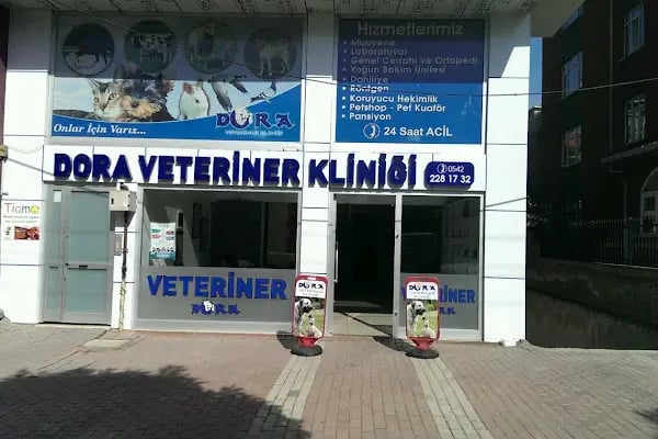 Ali ATİKER Veteriner Hekim - Resim 4