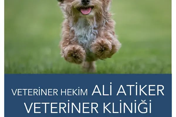 Ali ATİKER Veteriner Hekim - Resim 2