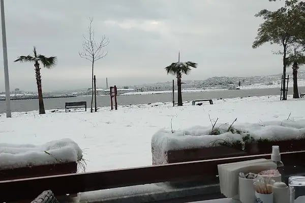 Sea Golden Hotel - Kali | Yeni Nesil Eğlence - Resim 15