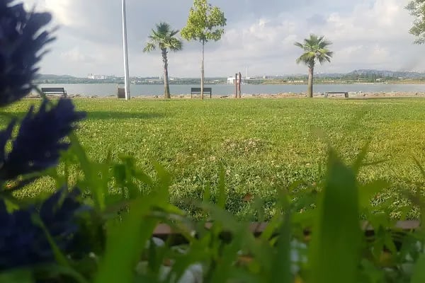 Sea Golden Hotel - Kali | Yeni Nesil Eğlence - Resim 7