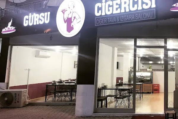 GÜRSU CİĞERCİSİ - Resim 13