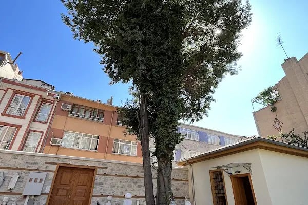 Muhammed Bedrettin Türbesi - Resim 1