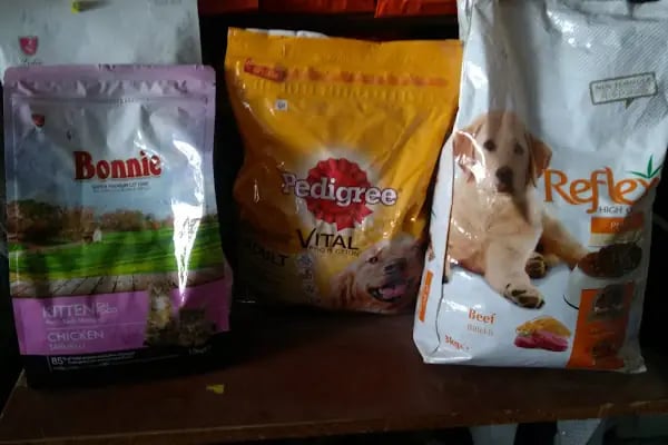 BİLGİN PETSHOP - Resim 11