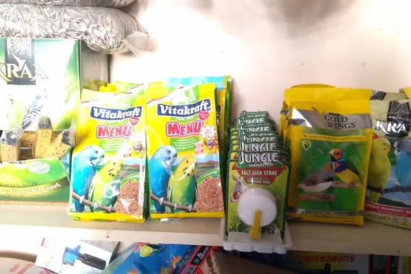 BİLGİN PETSHOP - Resim 13
