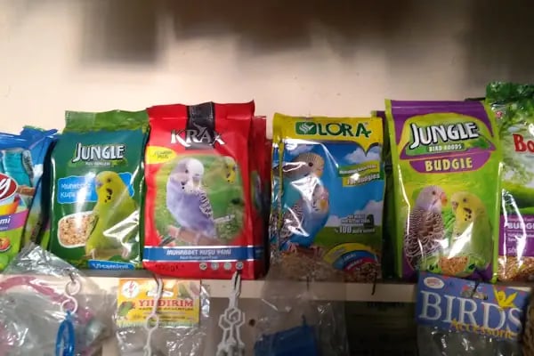 BİLGİN PETSHOP - Resim 9