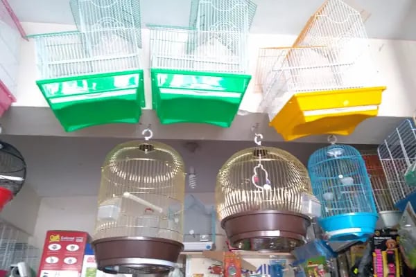 BİLGİN PETSHOP - Resim 4