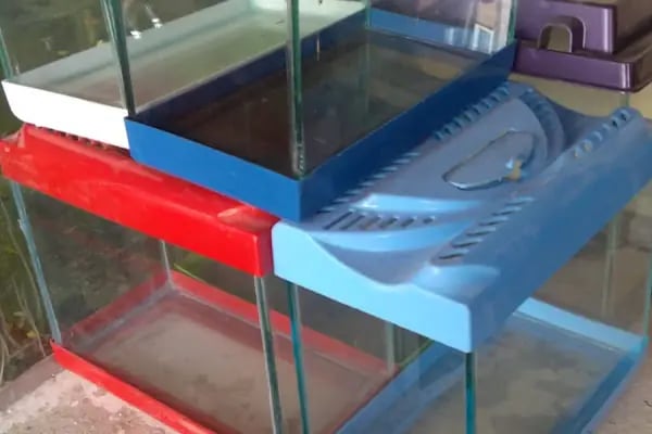 BİLGİN PETSHOP - Resim 7
