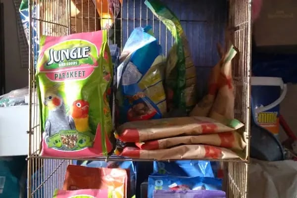 BİLGİN PETSHOP - Resim 15