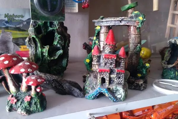 BİLGİN PETSHOP - Resim 10