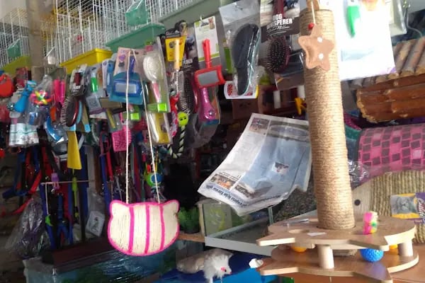 BİLGİN PETSHOP - Resim 5