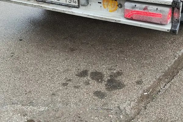 Oto Lastik Yol Yardım - Resim 6