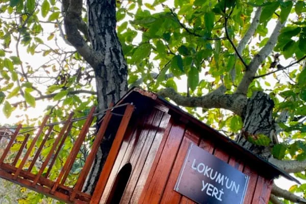 İlhan Baba’nın Çiftliği - Resim 6