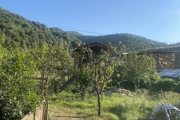 İlhan Baba’nın Çiftliği - Resim 11