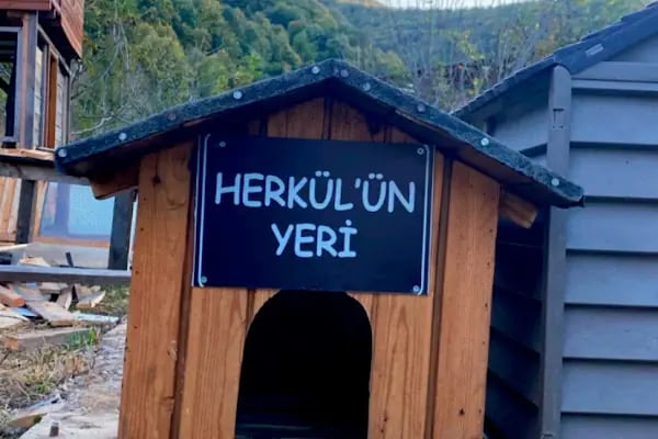 İlhan Baba’nın Çiftliği - Resim 20