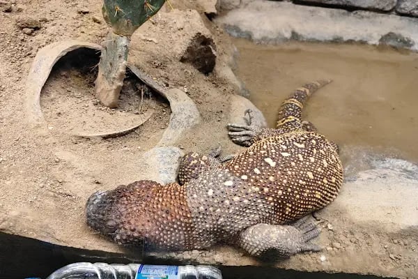 Eskişehir Büyükşehir Belediyesi Hayvanat Bahçesi - Resim 13