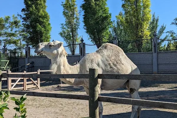 Eskişehir Büyükşehir Belediyesi Hayvanat Bahçesi - Resim 9