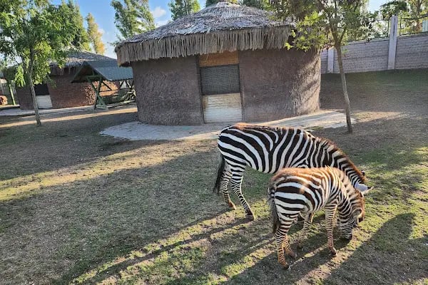 Eskişehir Büyükşehir Belediyesi Hayvanat Bahçesi - Resim 6