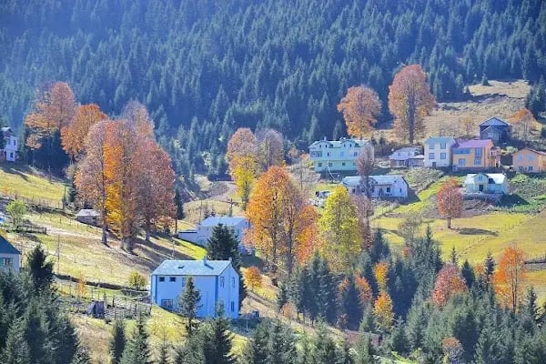 Kayabaşi Yayla Kent - Resim 20