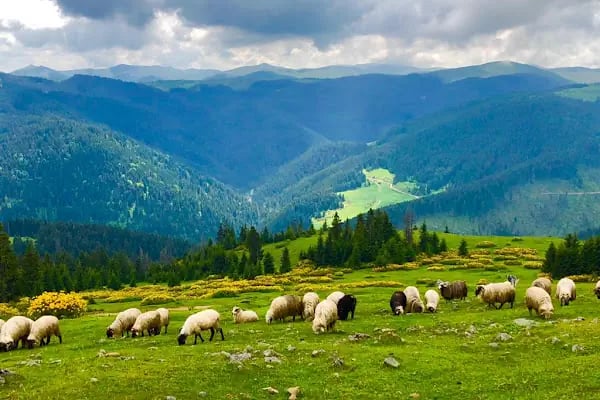 Kayabaşi Yayla Kent - Resim 4