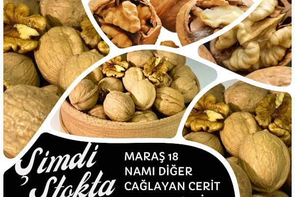 Heryere Kayısı Toptan Kayısı, Toptan Kuru Meyve ve Toptan Malatya Yöresel Ürünler - Resim 4