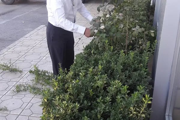 Sekizler Ekmek Fırını - Resim 16