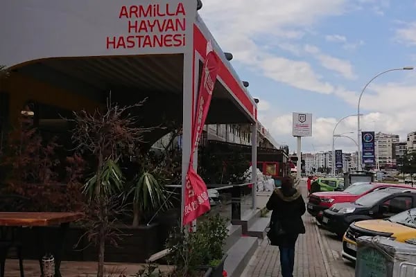 Armilla Hayvan Hastanesi - Resim 20