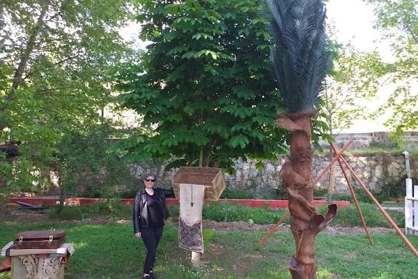 Davullupınar Ada Alabalık - Resim 7