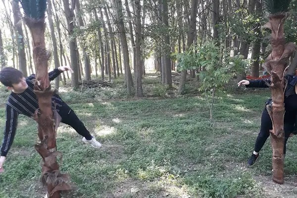 Davullupınar Ada Alabalık - Resim 9