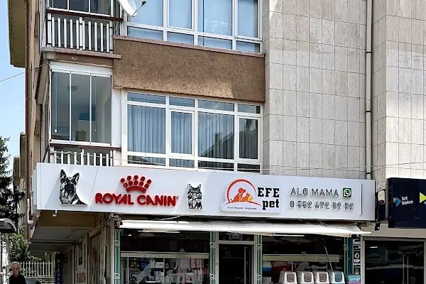 EFE AKVARYUM PETSHOP 2 - Resim 3