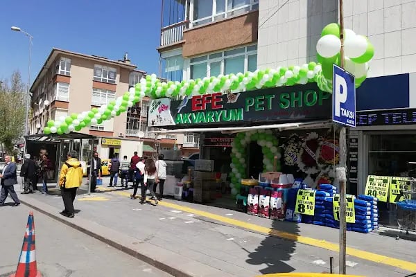 EFE AKVARYUM PETSHOP 2 - Resim 2