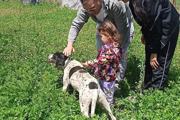 Gölbahçesi - Resim 6