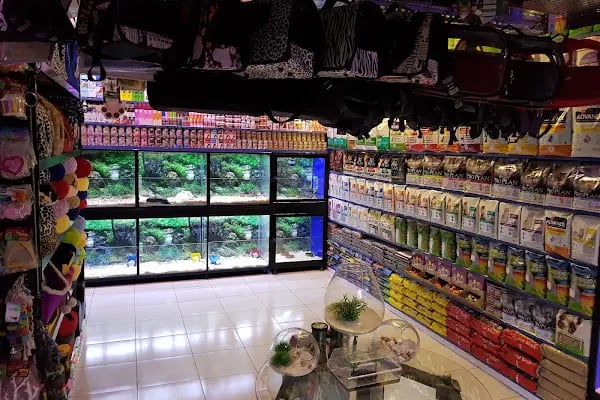 ÖZLEM PET SHOP &amp; AKVARYUM - Resim 5