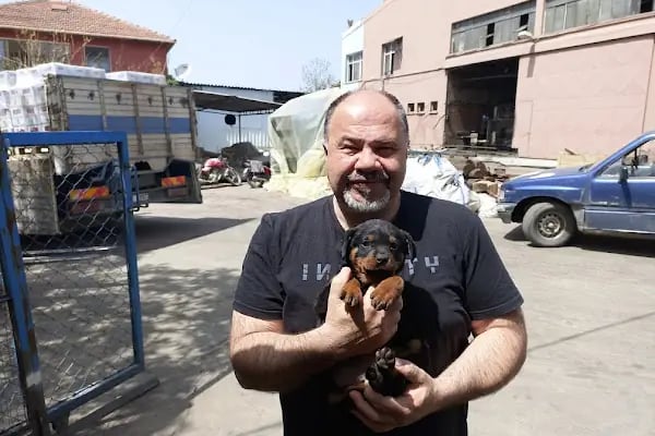 Baş zincir üretim Fabrikası - Resim 9