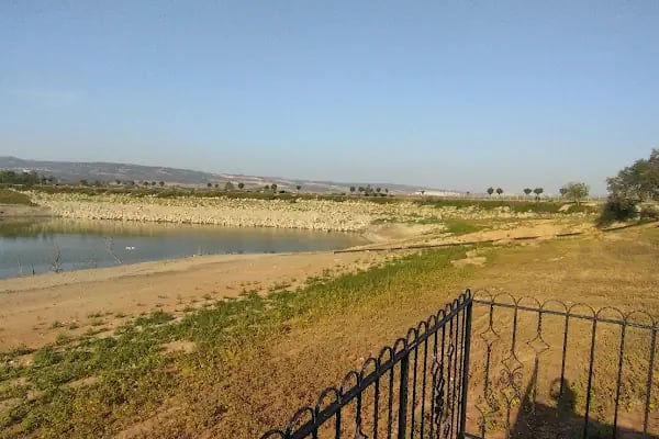 Yenice gölet - Resim 18