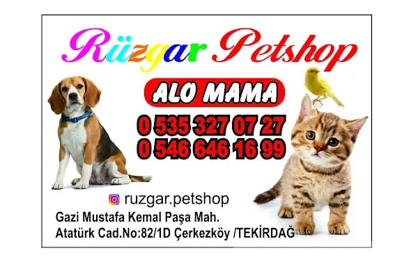 RÜZGAR PETSHOP - Resim 2