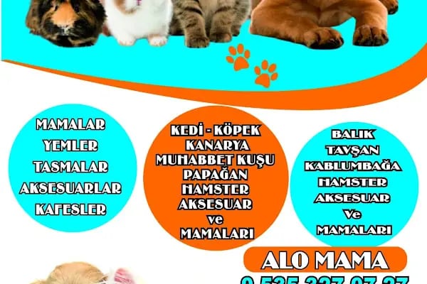 RÜZGAR PETSHOP - Resim 3