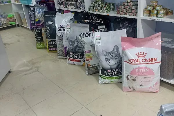 KARAPÜRÇEK PET MARKET PETSHOP - Resim 13