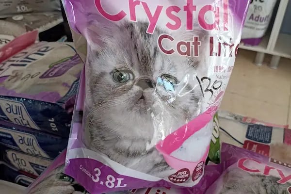 KARAPÜRÇEK PET MARKET PETSHOP - Resim 12