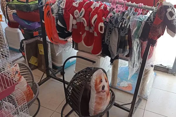 KARAPÜRÇEK PET MARKET PETSHOP - Resim 14