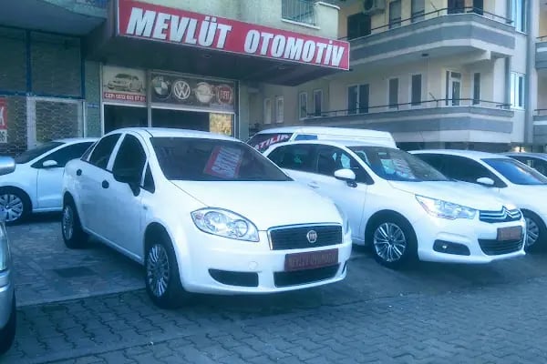 Mevlüt Otomotiv - Resim 1