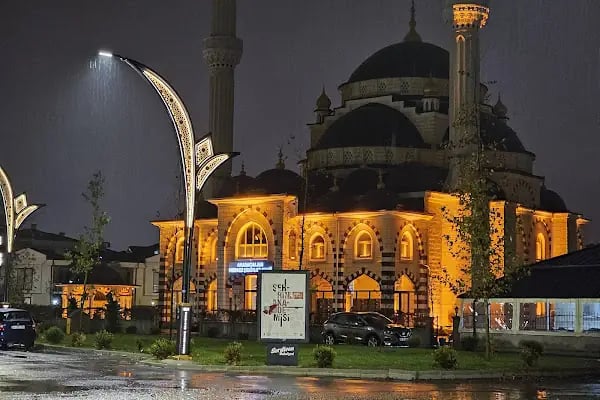 Arabacıalanı Şehitler Cami - Resim 4