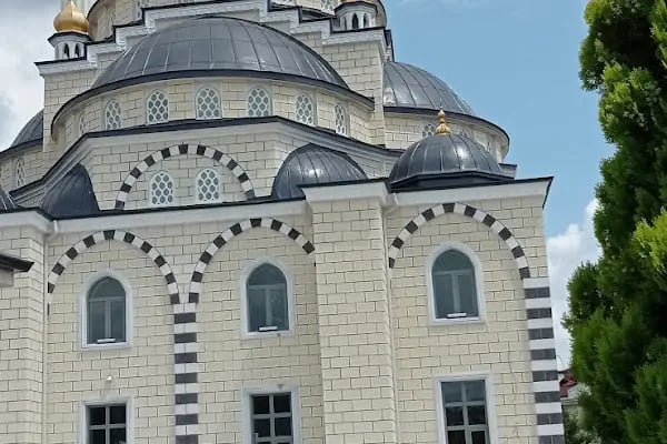 Arabacıalanı Şehitler Cami - Resim 2