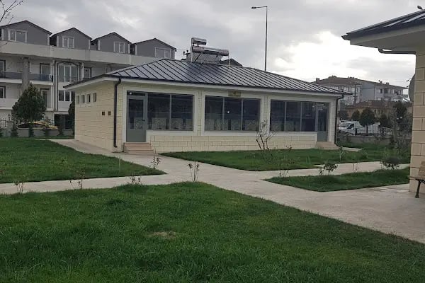 Arabacıalanı Şehitler Cami - Resim 17