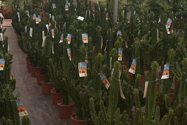 Genceroğlu Düğün Salonu - Resim 5
