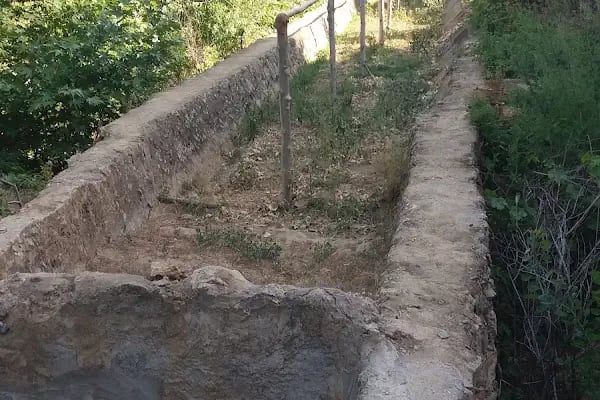 Saray İlkokulu - Resim 7