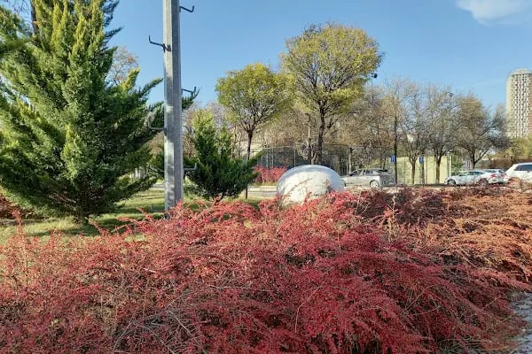 Ankara Üniversitesi Fen Fakültesi - Resim 17