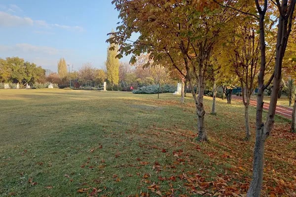 Ankara Üniversitesi Fen Fakültesi - Resim 12