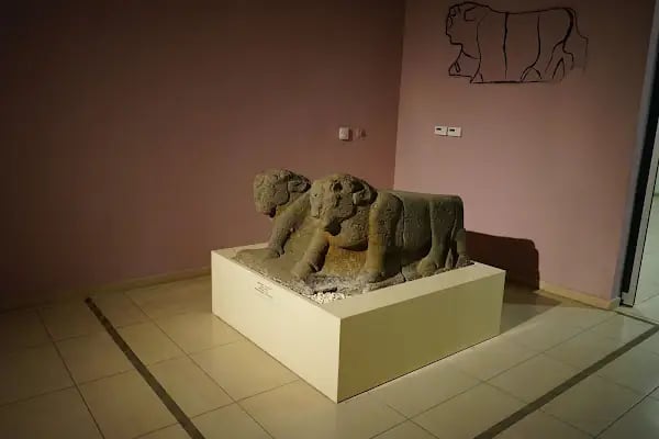 Şanlıurfa Müzesi Kalkolitik Çağ Salonu - Resim 8