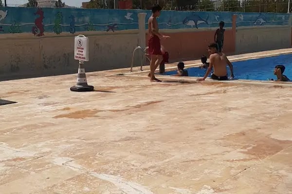 Yenice Yüzme Havuzu /şanlıurfa - Resim 4