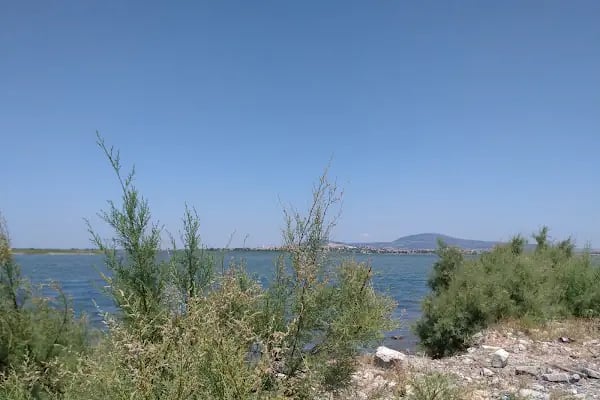 Dalyan Gölü - Resim 19